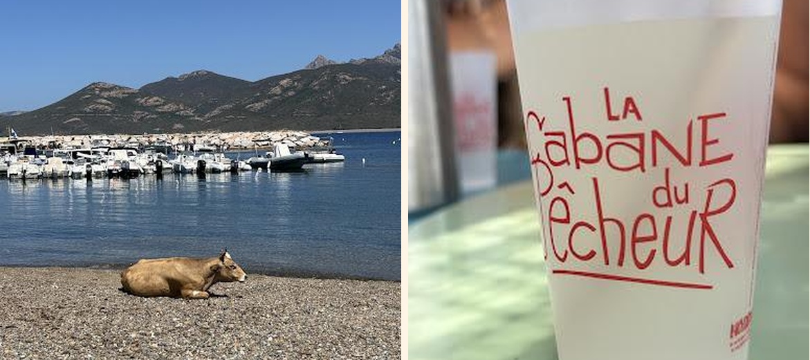 La Cabane du Pêcheur - Gallery Image 8